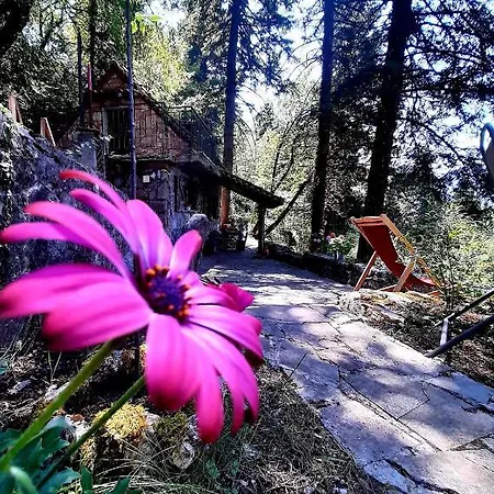 Forest House Apartment Ano Polidhrosos