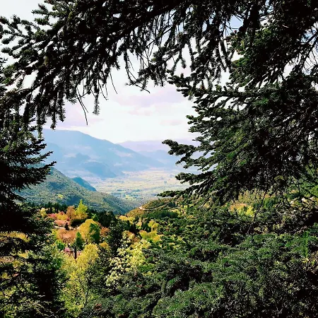 Διαμέρισμα Forest House