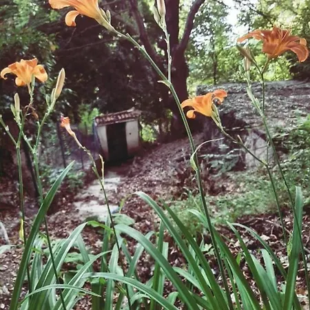 Appartement Forest House