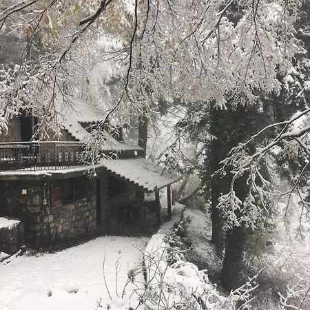 Apartment Forest House