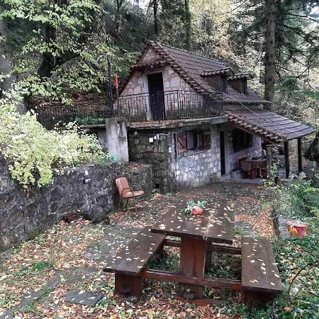 Forest House Apartment