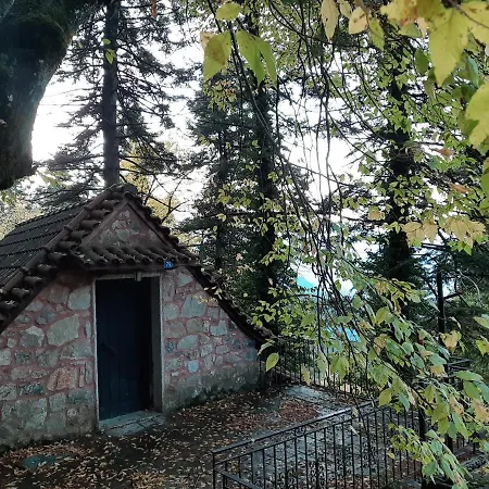 Apartment Forest House